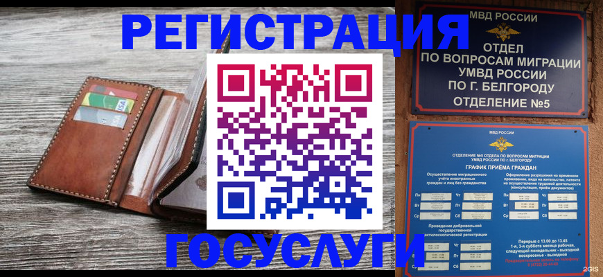 временная регистрация гарантия в Красном Сулине